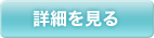 詳細を見る